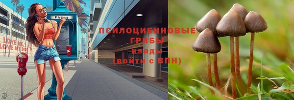 МДПВ Алексеевка