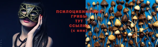 трава Алзамай