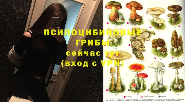 МДПВ Алексеевка
