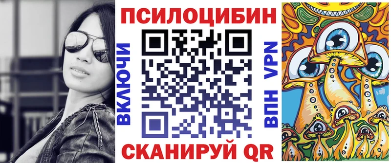 Псилоцибиновые грибы Psilocybine cubensis  Юрьев-Польский 